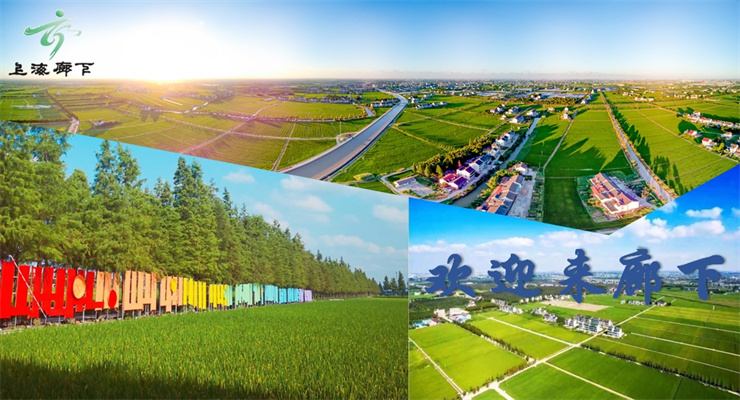 上海金山區(qū)廊下/都市中央廚房食品產(chǎn)業(yè)園寫(xiě)字樓招商動(dòng)態(tài)，揭示食品產(chǎn)業(yè)鏈發(fā)展新趨勢(shì)